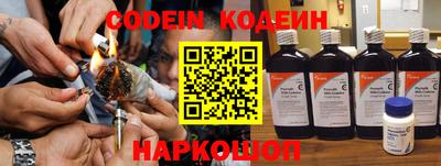 apvp Кингисепп