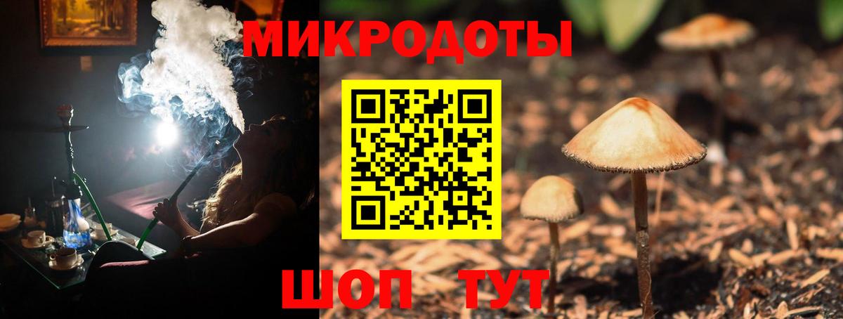 Галлюциногенные грибы Magic Shrooms Черногорск